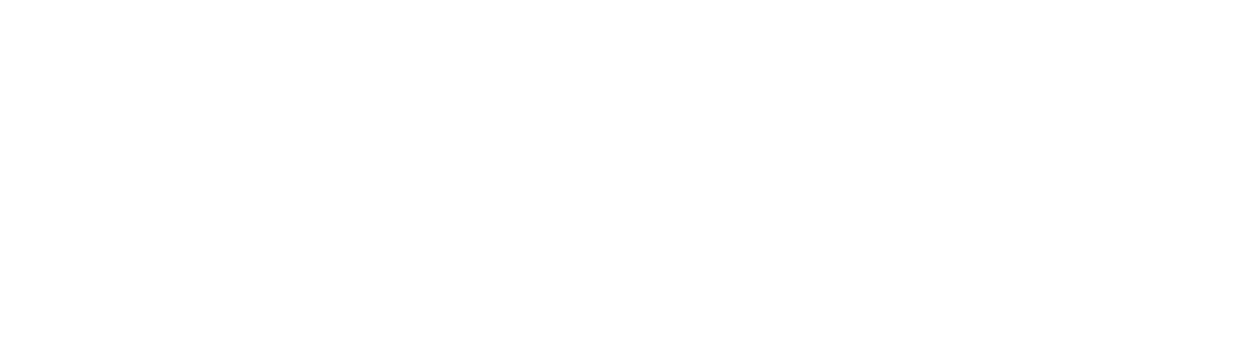 Raial Invest